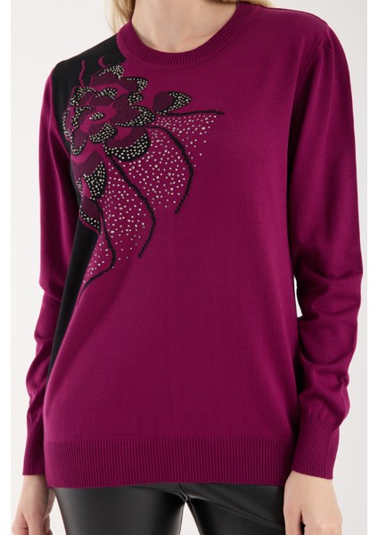 Kadın Mürdüm Elit Viskon Kumaş Taş Detaylı Bisiklet Yaka Triko Bluz indirimleri