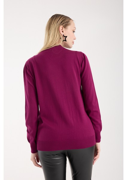 Kadın Mürdüm Elit Viskon Kumaş Taş Detaylı Bisiklet Yaka Triko Bluz