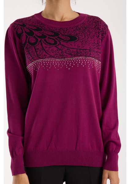 Kadın Mürdüm Elit Viskon Kumaş Taş Detaylı Bisiklet Yaka Triko Bluz fırsatları