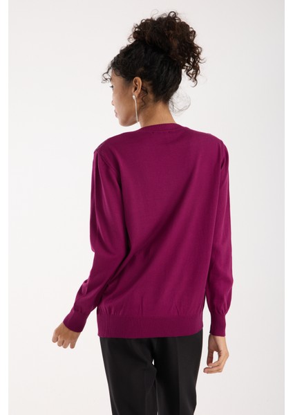 Kadın Mürdüm Elit Viskon Kumaş Taş Detaylı Bisiklet Yaka Triko Bluz indirimleri