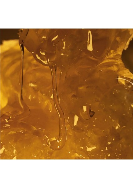 Milk & Honey Gold Nemlendirici El Kremi modelleri