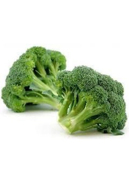 10 Adet Tohum Yeşil Brokoli Tohumu Yeni Sezon Hediye Tohumlu fiyatları