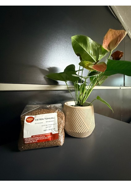 Keten Tohumu fiyatları