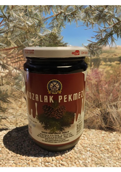 850 ml Selvi Çam Kozalağı Pekmezi
