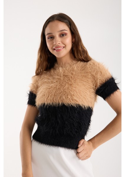 Kadın Bej-Siyah Sakal Iplik Iki Renkli Kısa Kollu Bisiklet Yaka Triko Kazak