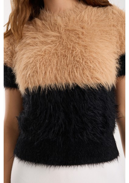 Kadın Bej-Siyah Sakal Iplik Iki Renkli Kısa Kollu Bisiklet Yaka Triko Kazak modelleri