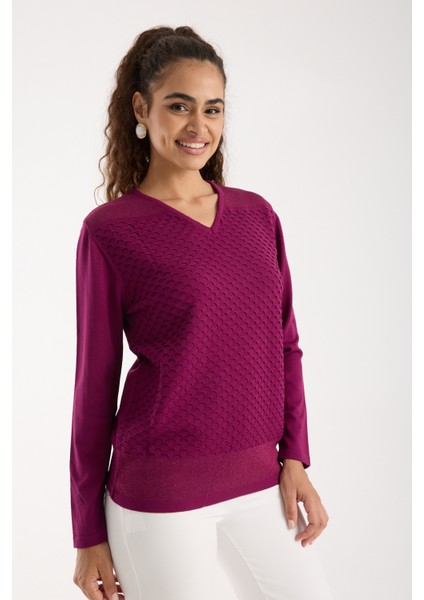 Kadın Mürdüm Viskon Kumaş V Yaka Simli Triko Bluz fiyatları