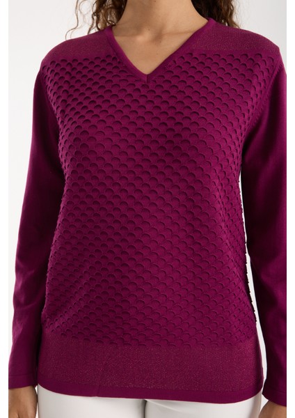 Kadın Mürdüm Viskon Kumaş V Yaka Simli Triko Bluz modelleri