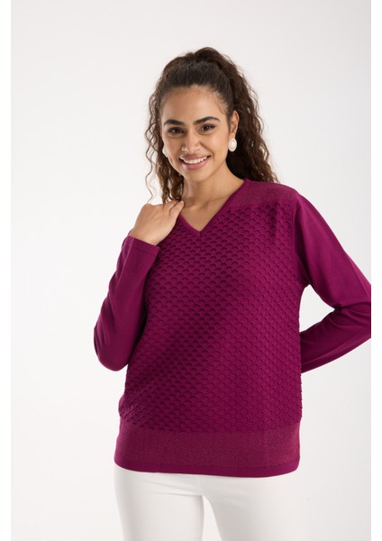 Kadın Mürdüm Viskon Kumaş V Yaka Simli Triko Bluz