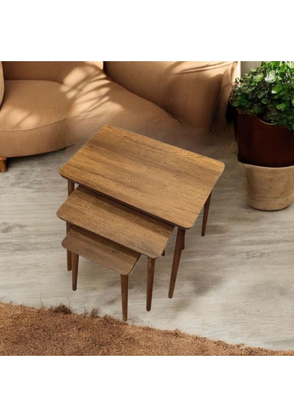 3'lü Mdf Ahşap Zigon Sehpa fiyatları