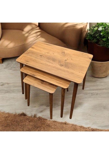 3'lü Mdf Ahşap Zigon Sehpa fırsatları