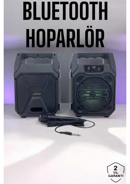 6.5 Inç Kablosuz Hoparlör Bluetooth Bağlantılı Yüksek Ses Kaliteli fiyatları