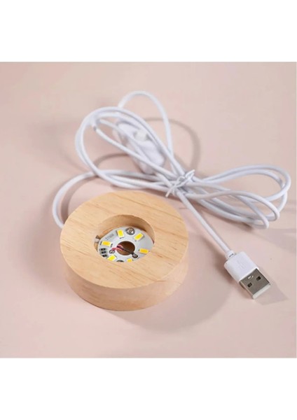 Peri Kızı Elsa Tasarımlı Ahşap Altlıklı Işıklı Büyük Boy Cam Küre fiyatları