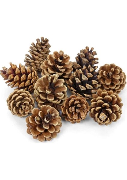 12 Adet Doğal Çam Kozalağı Dekoratif Mozaik – Koku ve Masa Süsleme Için Rustik Aksesuar modelleri