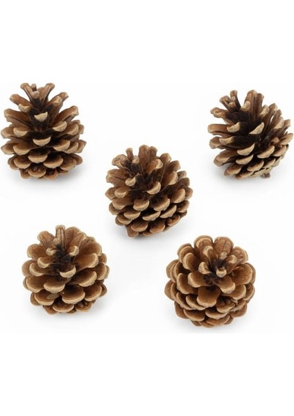 12 Adet Doğal Çam Kozalağı Dekoratif Mozaik – Koku ve Masa Süsleme Için Rustik Aksesuar fırsatları