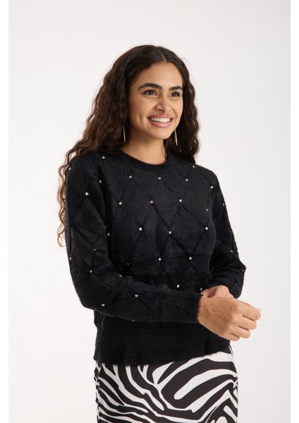 Kadın Siyah Sakal Iplik Taş Detaylı Bisiklet Yaka Triko Kazak fiyatları