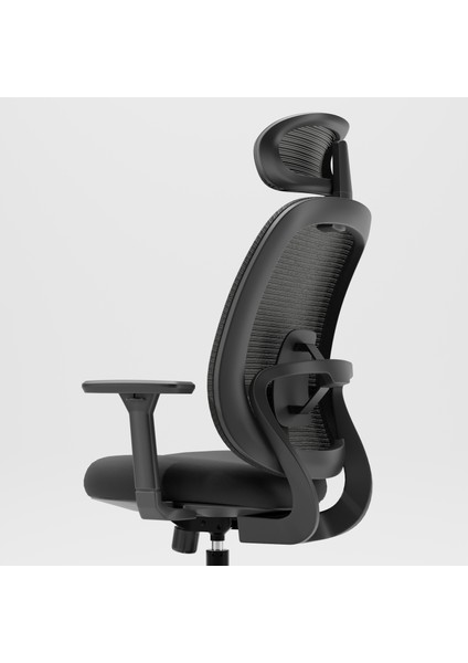 X100 Comfort Fileli Ofis ve Çalışma Sandalyesi Siyah fırsatları