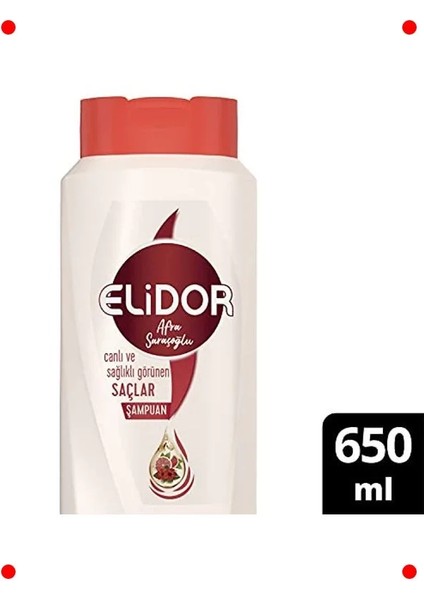 Canlı ve Sağlıklı Saçlar Için Bakım Şampuanı 650 ml fiyatları