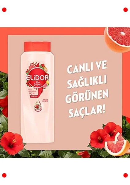Canlı ve Sağlıklı Saçlar Için Bakım Şampuanı 650 ml modelleri