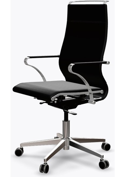Ergolife Synchrosit Well Ergonomik Ofis Sandalyesi | Siyah, Deri Çalışma Sandalyesi - 265.5D.1.544 fiyatları