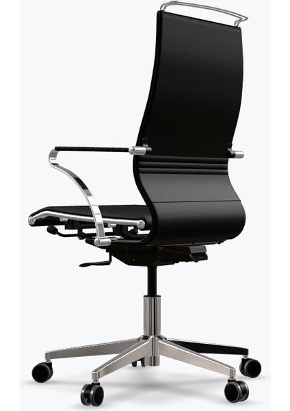 Ergolife Synchrosit Well Ergonomik Ofis Sandalyesi | Siyah, Deri Çalışma Sandalyesi - 265.5D.1.544 modelleri