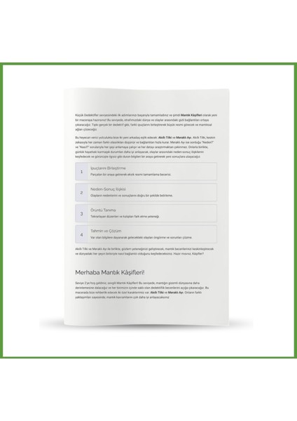 Mantıksal Düşünme fırsatları