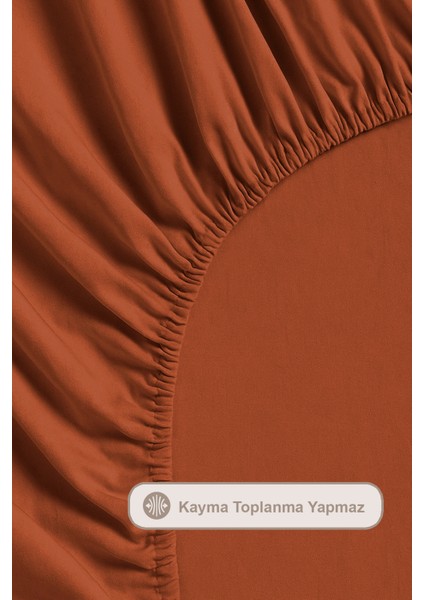 Terra Nevresim Takımı Çift Kişilik Lastikli Çarşaf (200X220 Cm) Tarçın