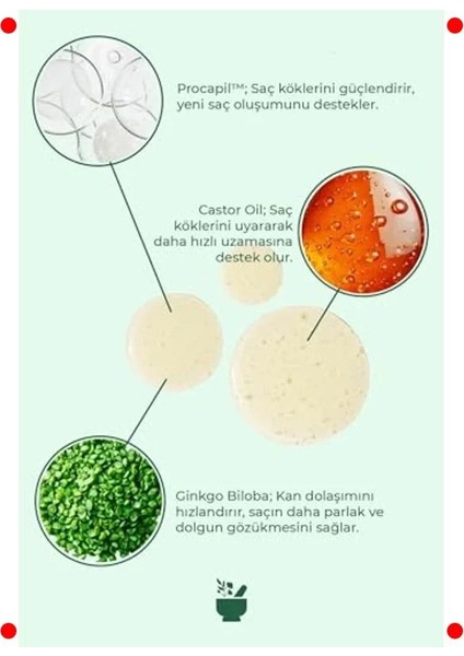 Sülfatsız Tuzsuz Saç Dökülmesi Karşıtı Şampuan fırsatları