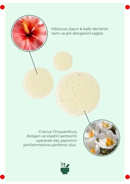 Sülfatsız Tuzsuz Saç Dökülmesi Karşıtı Şampuan indirimleri