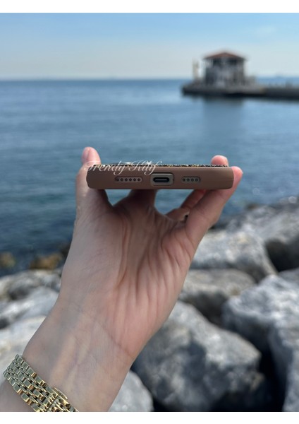 iPhone (16 Pro Max) Uyumlu Lüks Taşlı Kılıf modelleri