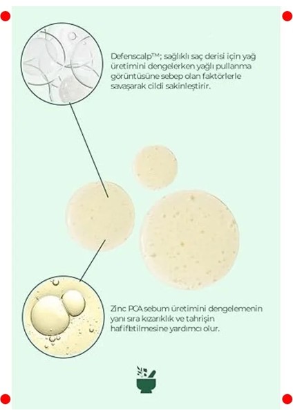 Sülfatsız Kepek Karşıtı Arındırıcı Şampuan modelleri