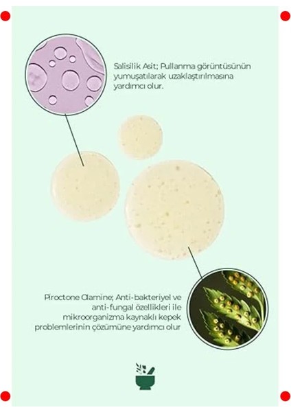 Sülfatsız Kepek Karşıtı Arındırıcı Şampuan fırsatları