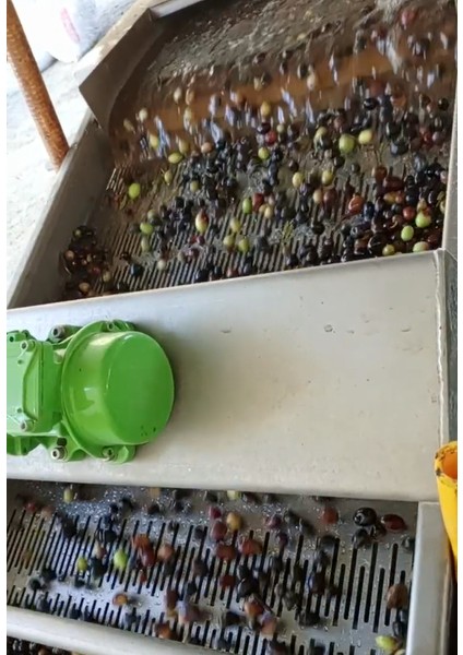 Den Naturel Soğuk Sıkım Sızma Zeytinyağı 1 Lt - Cam Şişe modelleri