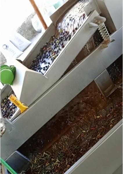 Den Naturel Soğuk Sıkım Sızma Zeytinyağı 1 Lt - Cam Şişe fırsatları