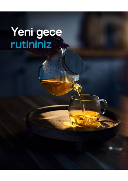 Night Mode Safran Ekstresi Içeren Takviye Edici Gıda fiyatları