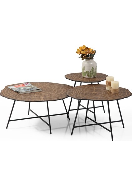 Prestij 3'lü Orta Sehpa Ceviz