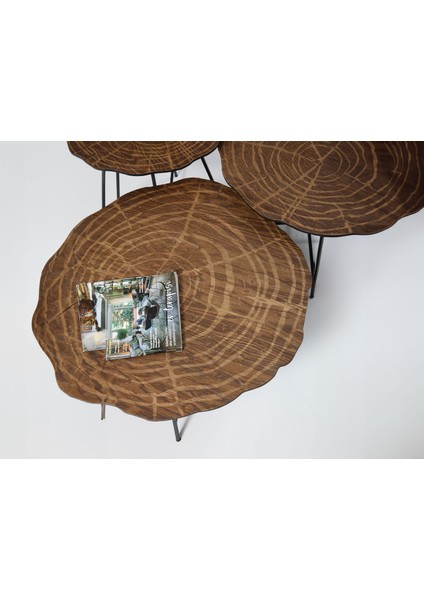 Prestij 3'lü Orta Sehpa Ceviz modelleri