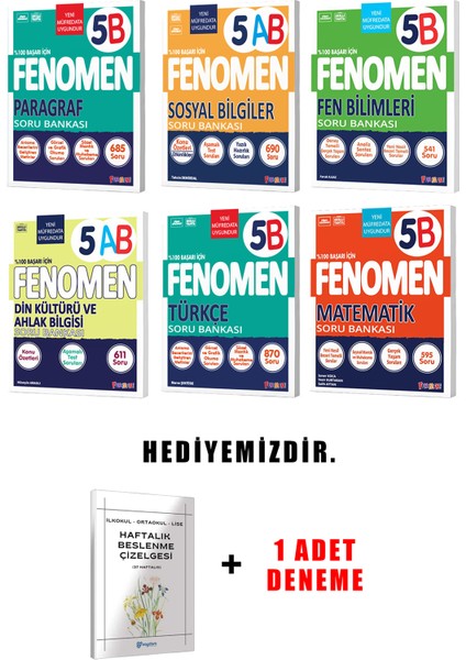 Fenomen Yayınlıcılık 5.sınıf B Grubu 6'li Set (Güncel)