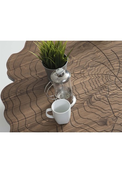 Mira Metal Orta Sehpa Ceviz fiyatları