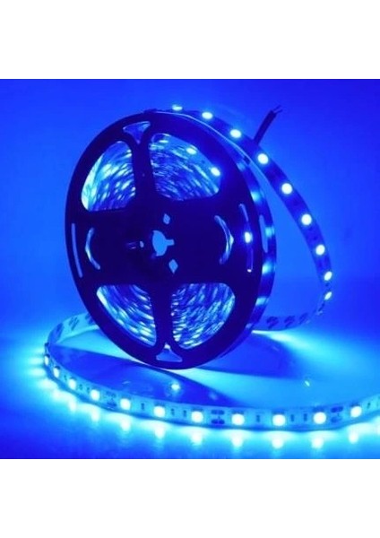 Buğz Eco Lounge 5 Metre Noas YL40 4003 Iç Mekan 12V Mavi Şerit LED fiyatları