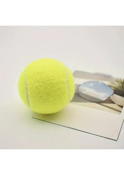 3'lü Köpek Oyun Tenis Topu fırsatları