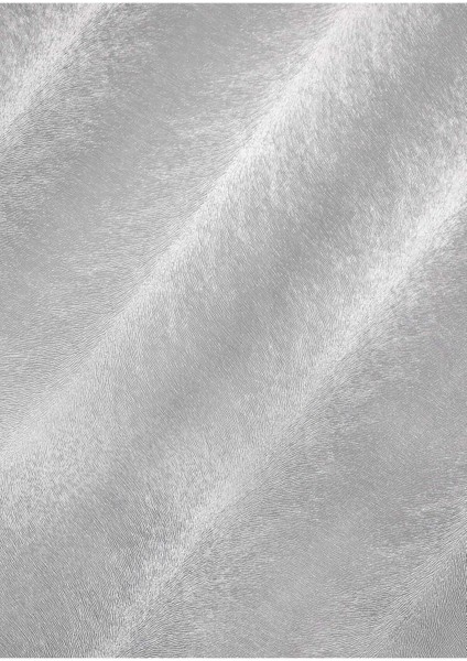 Gri Kürk Işığı Vinil Backdrop – Profesyonel Fotoğraf ve Video Çekim Arka Planı (80×120 Cm) indirimleri