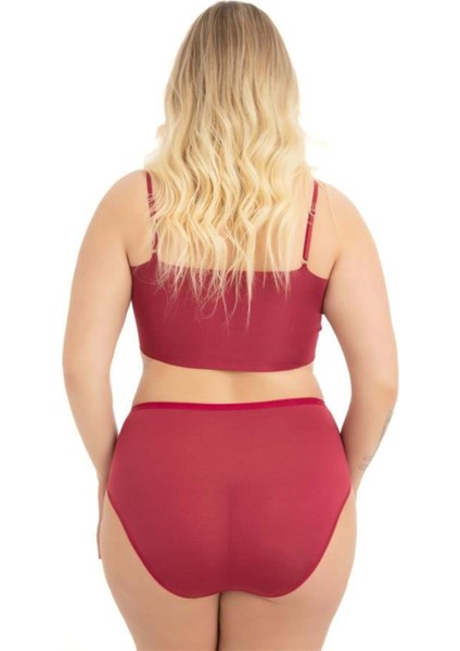 Transparan Tüllü Dantel Detaylı Beli Lastikli Büyük Beden Kadın Bikini Külot 5'li Paket fiyatları