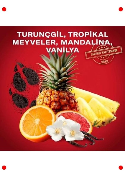 Fresh Koku Erkek Stick Deodorant 50 ml indirimleri