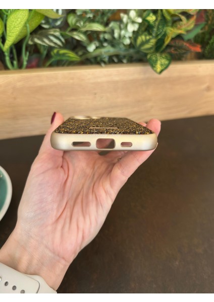 iPhone (16) Uyumlu Lüks Taşlı Kılıf modelleri