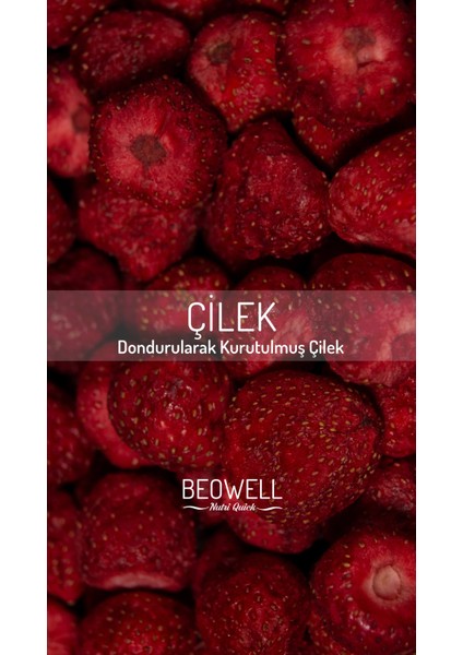 Nutri Quick – Freeze Dried Dondurularak Kurutulmuş Çilek