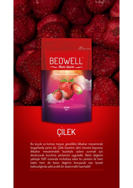 Nutri Quick – Freeze Dried Dondurularak Kurutulmuş Çilek