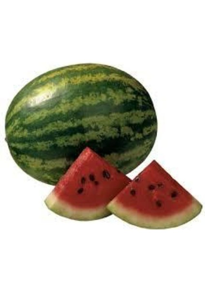 5 Adet Tohum Meşhur Diyarbakır Karpuzu Tohumu Karpuz Tohumu Sürpriz Hediye Tohum