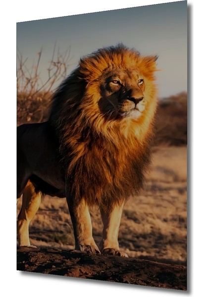Aslanın Gücü Yağlı Boya Görünümlü Dekoratif Ahşap Tablo Dikdörtgen Tablo modelleri