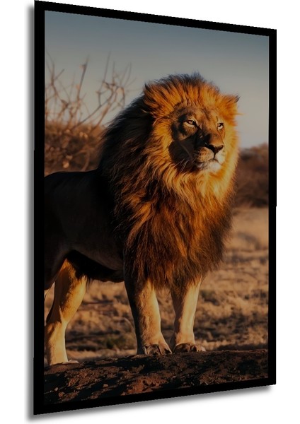 Aslanın Gücü Yağlı Boya Görünümlü Dekoratif Ahşap Tablo Dikdörtgen Tablo